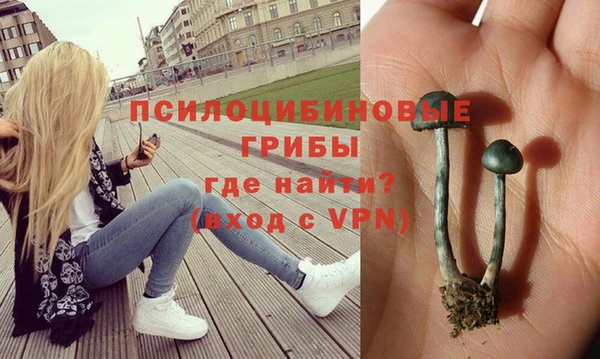 не бодяженный Верея